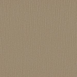 Shaw Floors - Carpet - Simply The Best Collection - Bandon Dunes - Hiking Trail