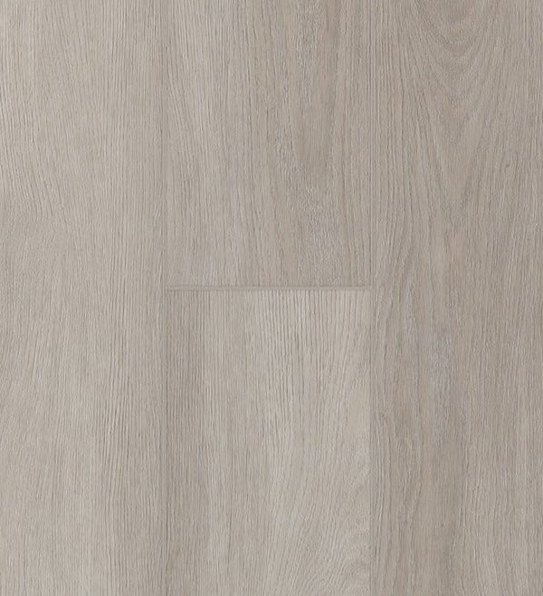 TORLYS - Rigidwood Firm Elite - Hendrie
