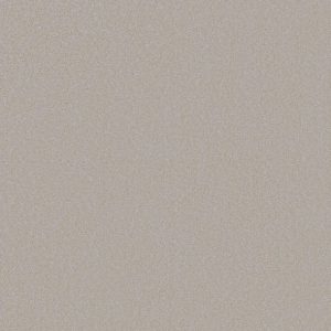 Shaw Floors - Carpet - Classics Collection  - Awaken Spirit I 12' - Ice Cube
