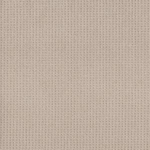 Shaw Floors - Carpet - Foundations Collection - Faint Intent - Sun Kissed