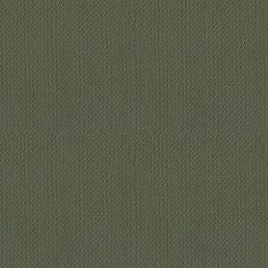 Shaw Floors - Carpet- Foundations Collection - Lush Garden