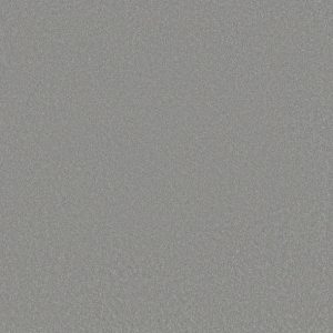 Shaw Floors - Carpet - Classics Collection  - Awaken Spirit II - 12'- Luna