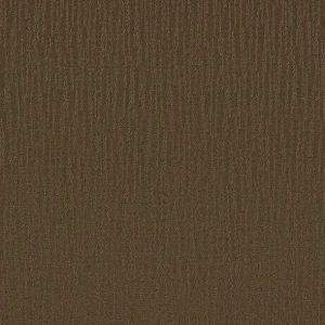 Shaw Floors - Carpet - Simply The Best Collection - Bandon Dunes - Mocha Chip
