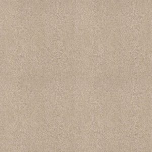 Shaw Floors - Carpet - COMFORTING I - Mesa