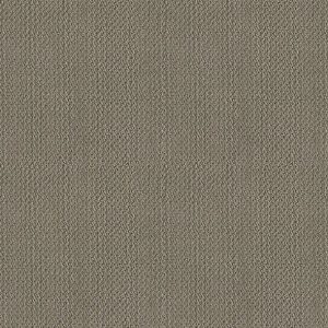 Shaw Floors - Carpet- Foundations Collection - Mocha