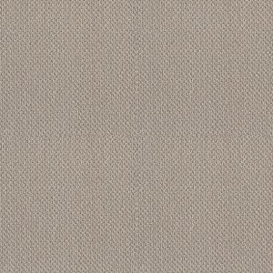 Shaw Floors - Carpet- Foundations Collection - Smart Thinking - Mindful
