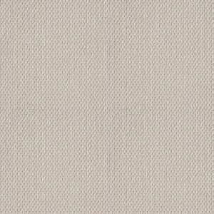Shaw Floors - Carpet- Foundations Collection - Naturalistic - Winters Dawn