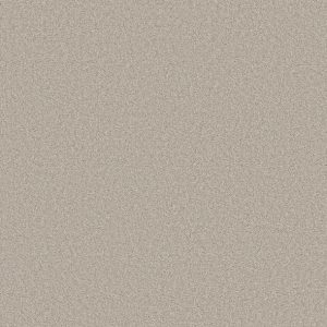 Shaw Floors - Carpet- Foundations Collection - HARMONIOUS III - Split Sediment