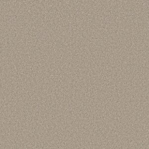 Shaw Floors - Carpet- Foundations Collection - HARMONIOUS III - Fossil Path