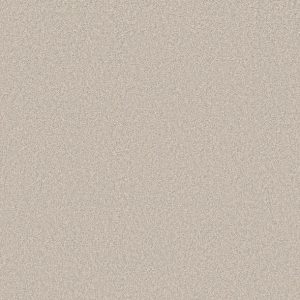 Shaw Floors - Carpet- Foundations Collection - HARMONIOUS III - Gallery Opening
