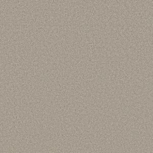 Shaw Floors - Carpet- Foundations Collection - HARMONIOUS III - Baltic Stone
