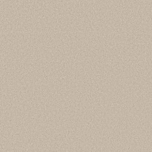 Shaw Floors - Carpet- Foundations Collection - HARMONIOUS III - Champagne Toast