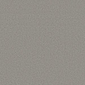 Shaw Floors - Carpet- Foundations Collection - HARMONIOUS III - Grey Fox