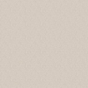 SHAW FLOORS - CARPET - SIMPLY THE BEST - LOOP DE LOOP - CANVAS