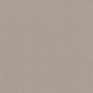 SHAW FLOORS - CARPET - SIMPLY THE BEST - LOOP DE LOOP - SANDSTONE