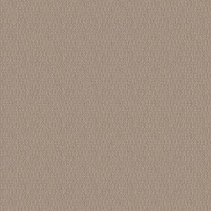 SHAW FLOORS - CARPET - SIMPLY THE BEST - LOOP DE LOOP - PEBBLE PATH