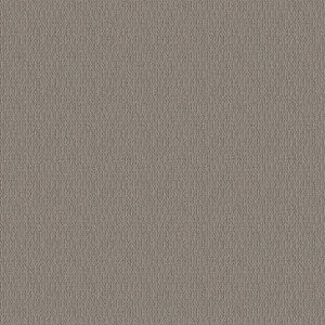SHAW FLOORS - CARPET - SIMPLY THE BEST - LOOP DE LOOP - INDUSTRIAL