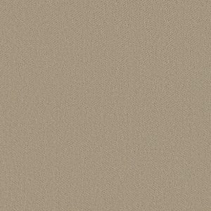 Shaw Floors - Carpet- Simply The Best - Highland Twill - Twine