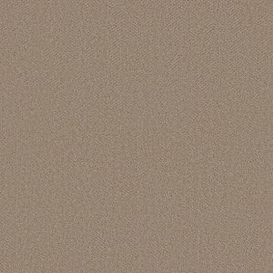 Shaw Floors - Carpet- Simply The Best - Highland Twill - Kindling