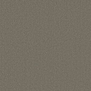 Shaw Floors - Carpet- Simply The Best - Highland Twill - Fallen Acorn