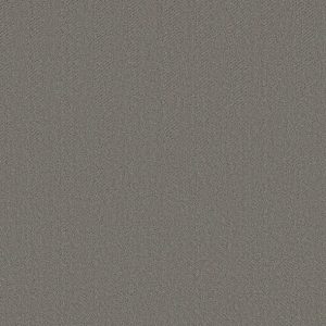 Shaw Floors - Carpet- Simply The Best - Highland Twill - Lunar Haze