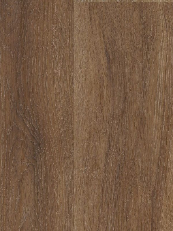 COREtec - Pro Classics - Magellanic Oak