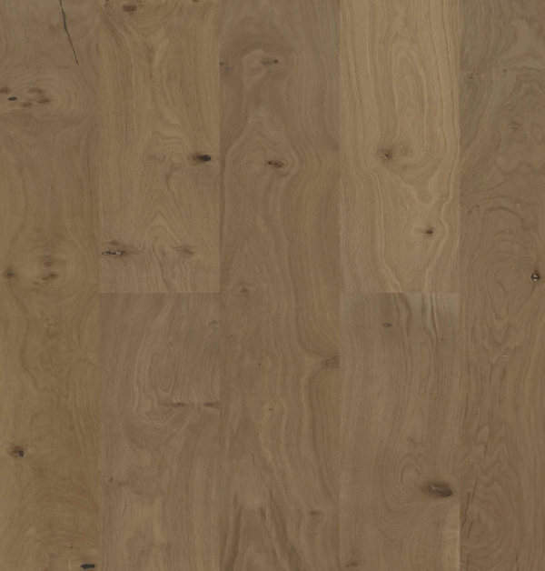 BIYORK - Nouveau 8 Collection - Messier