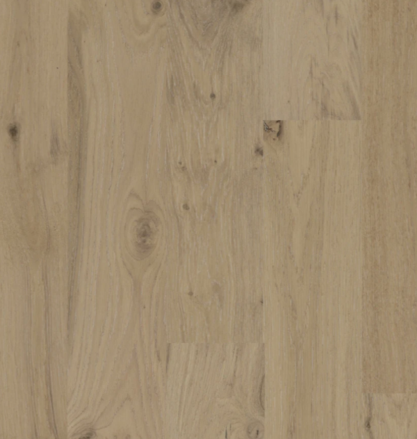 BIYORK - Nouveau 6 Collection - Morning Oats