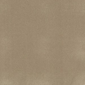 Shaw Floors - Carpet - Classics Collection  - Awaken Spirit II - 12' - Muffin