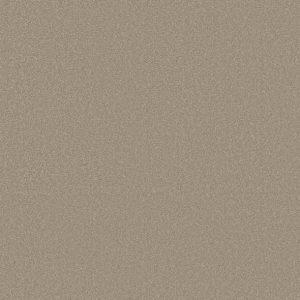 Shaw Floors - Carpet - Classics Collection  - Awaken Spirit I 12' - Neutral Ground