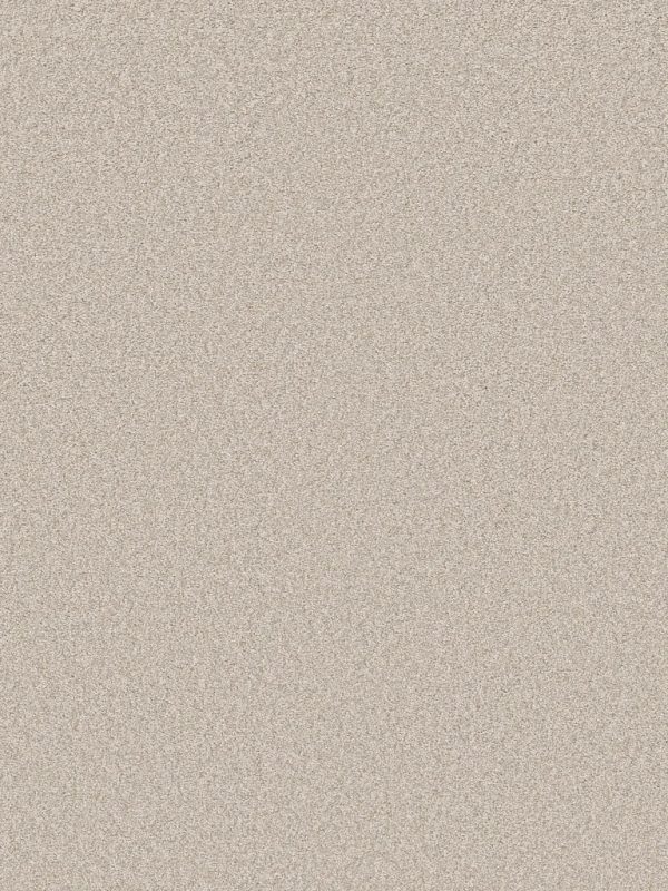 Shaw Floors - Carpet- Foundations Collection - HARMONIOUS II - Gallery Opening