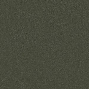 Shaw Floors - Carpet - Classics Collection  - Awaken Spirit II - 12' - Olive Tree