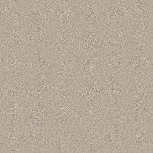 Shaw Floors - Carpet - COMFORTING I - Parchment
