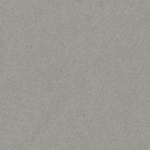 Shaw Floors - Carpet - Simply The Best  - Attainable - Platinum