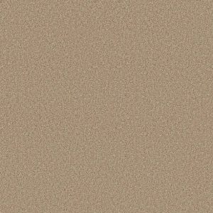 Shaw Floors - Carpet - COMFORTING I - Picket Fence