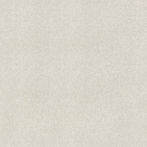 Shaw Floors - Carpet - COMFORTING II - Pearly Gates