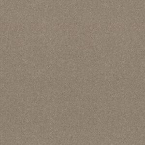 Shaw Floors - Carpet - Simply The Best  - Attainable - Pebble Path
