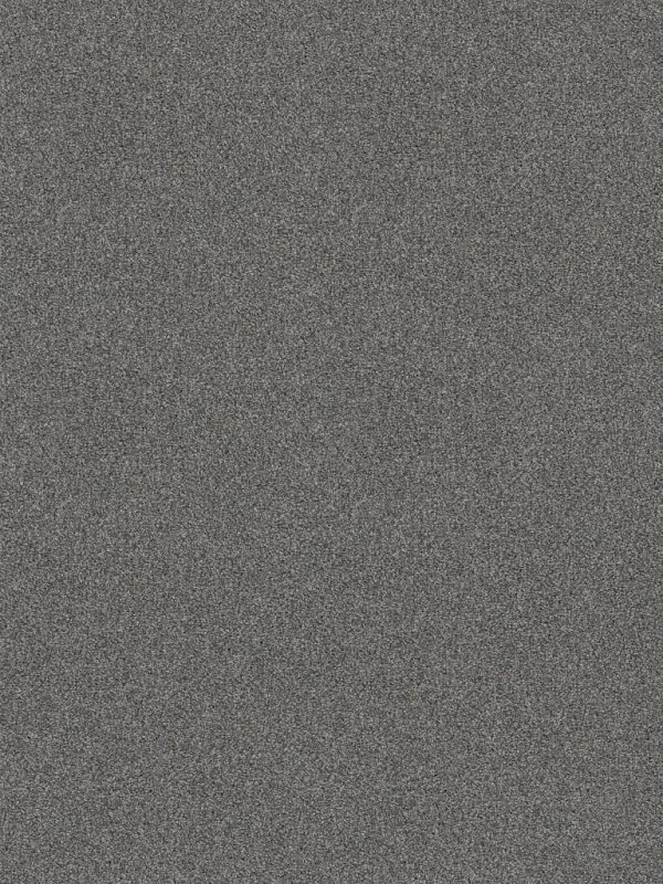 Shaw Floors - Carpet - COMFORTING II - Pencil Point