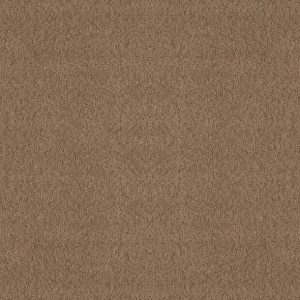 Shaw Floors - Carpet - Foundations Collection  - Alluring Canvas - Raw Wood