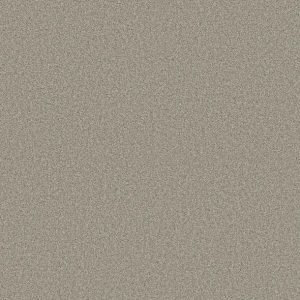 Shaw Floors - Carpet - COMFORTING II - Rustic