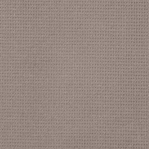 Shaw Floors - Carpet - Foundations Collection - Faint Intent - River Run
