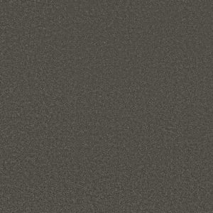 Shaw Floors - Carpet - Classics Collection  - Awaken Spirit II - 12' - Rocky Slope