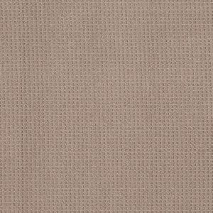 Shaw Floors - Carpet - Foundations Collection - Faint Intent - Raw Wood