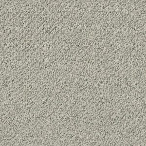 Shaw Floors - Carpet- Foundations Collection - Slate
