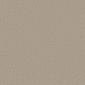 Shaw Floors - Carpet - Simply The Best  - TRUSOLUTIONS III - Sand