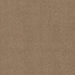 Shaw Floors - Carpet - COMFORTING I - Studio