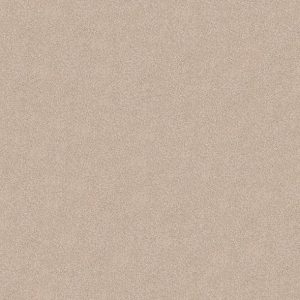 Shaw Floors - Carpet - COMFORTING I - Shadow