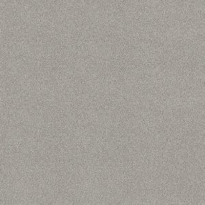 Shaw Floors - Carpet - COMFORTING I - Shimmer