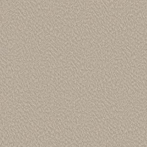 Shaw Floors - Carpet - Foundations Collection  - Alluring Canvas - Sandstone