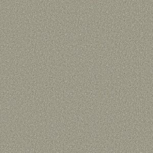 Shaw Floors - Carpet - COMFORTING II - Sage Brush